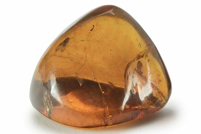 Polished Chiapas Amber ( g) - Mexico #232587